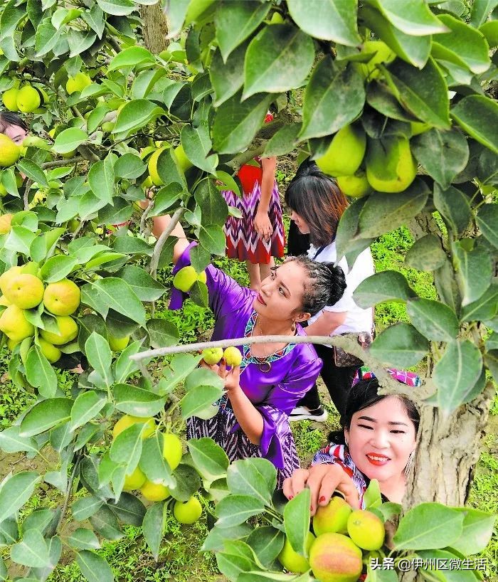 天猫双十一成交额破亿元,天猫双十一近十年省份成交额排名