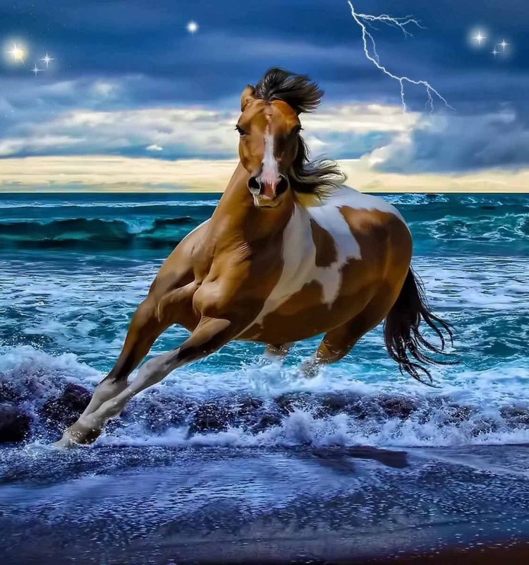 美美的壁纸图片,漂亮唯美图片壁纸