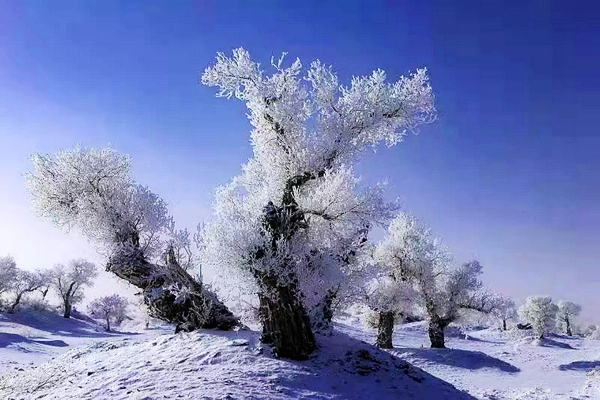 巴音布鲁克镇冬天的生活,巴音郭楞自治州和静县冬天