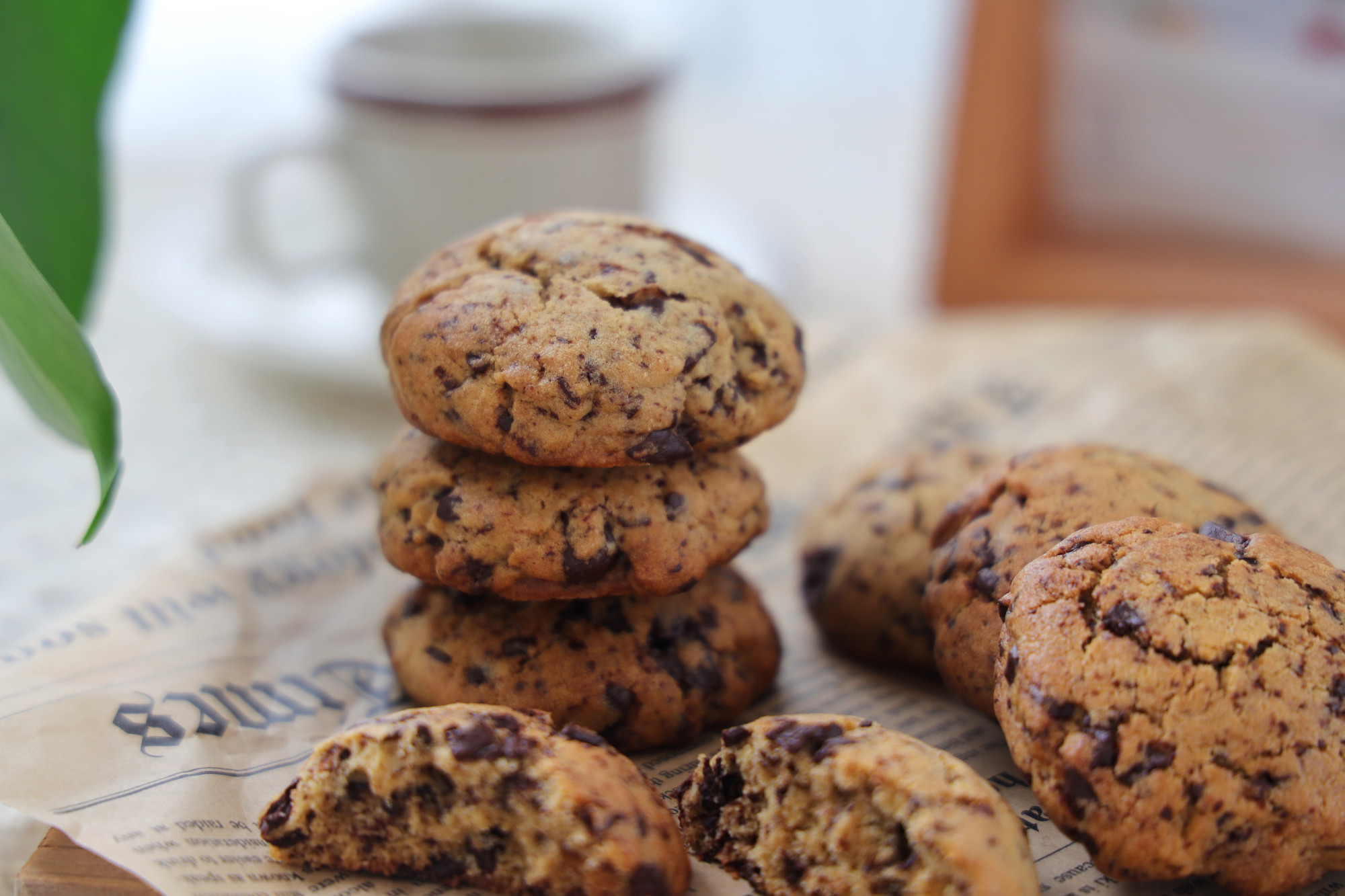 星巴克巧克力曲奇做法,星巴克1元榛果拿铁