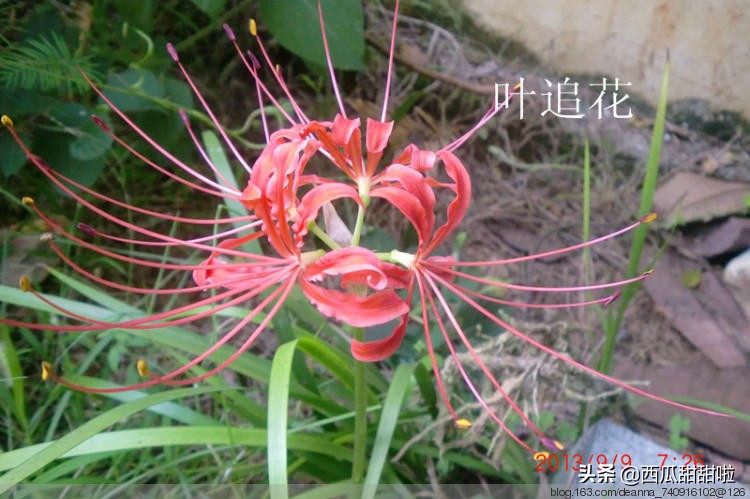 邮寄美好回忆,邮寄美好每一刻