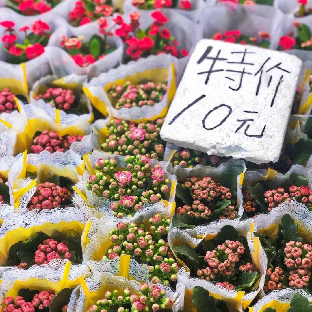 北京花市攻略大全,北京最美赏花景点