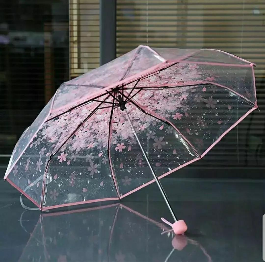 神秘变色花：一下雨就隐形又透明，芳踪难觅！和你捉迷藏的美人花