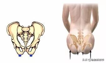练瑜伽不会盘腿怎么办,练瑜伽髋不正位怎么办