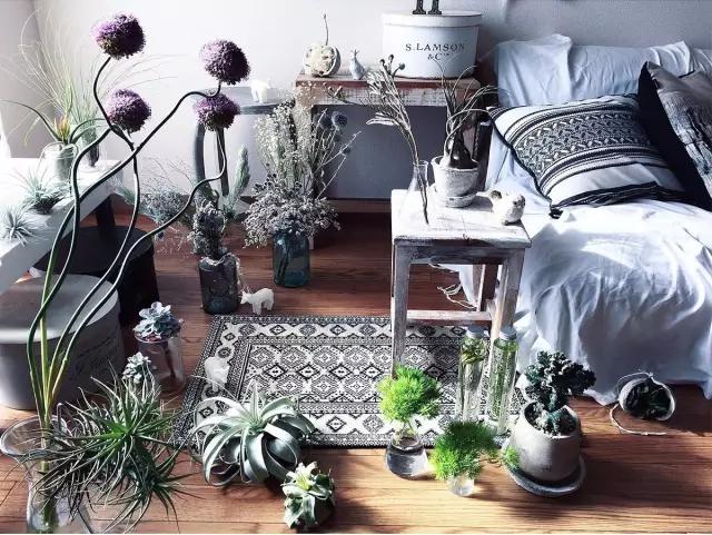 适合干花的装饰,简单的干花装饰