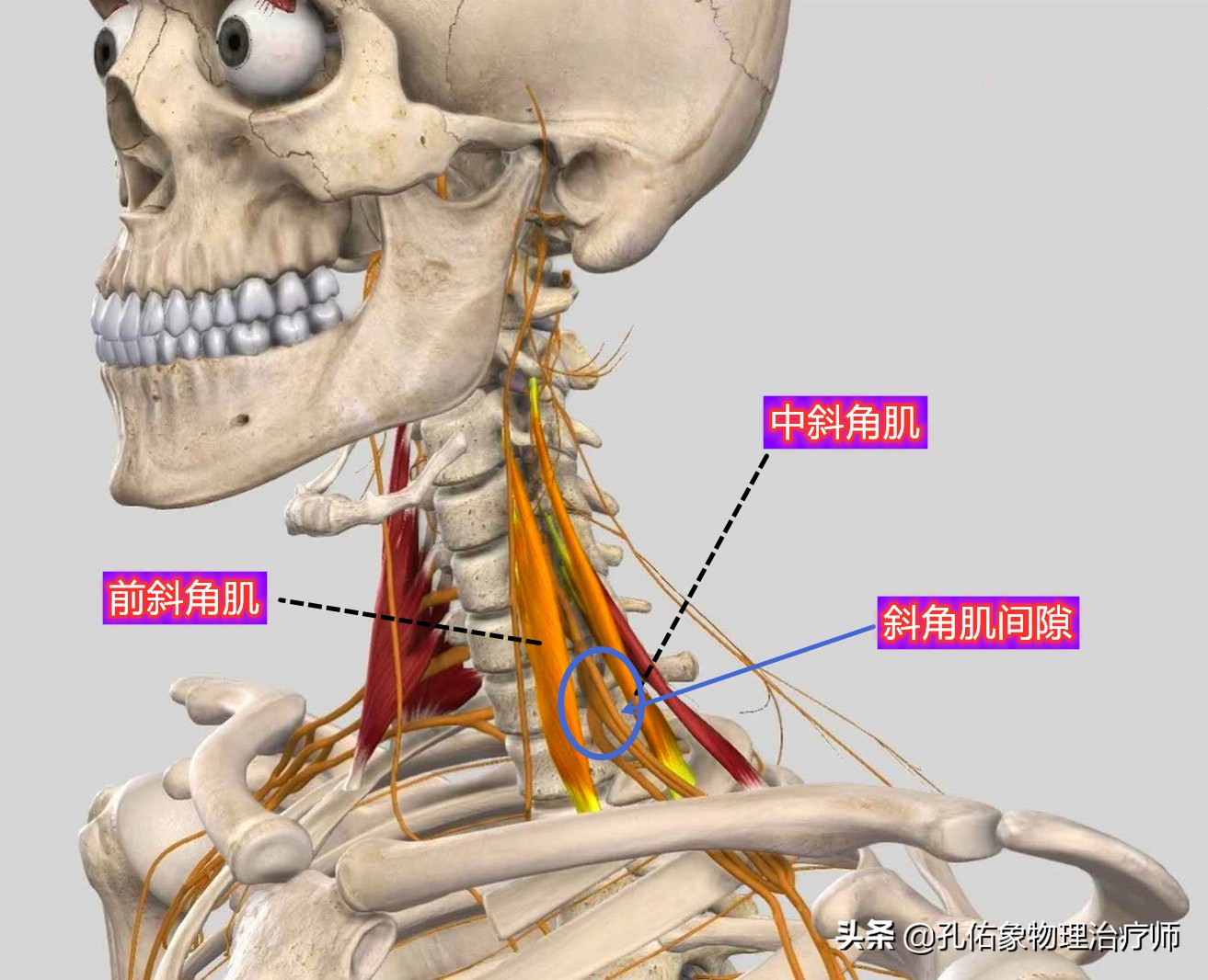手指麻木是三大疾病前兆,手指麻木疼痛怎么治疗最好