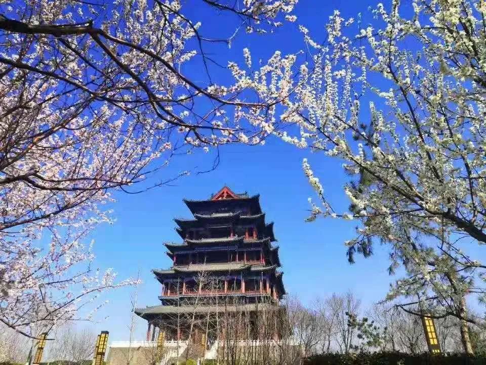 亲历揭秘：我为何要在迁安等你？