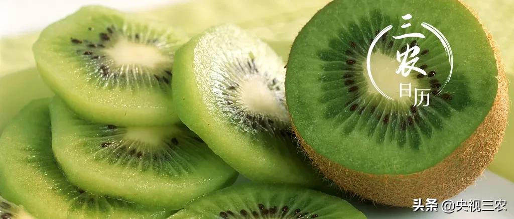 猕猴桃干泡茶维生素多吗,猕猴桃可以用热水泡软