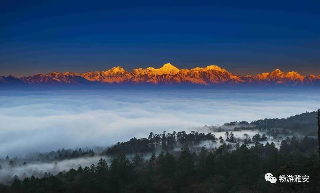雅安4天旅游攻略最新版,五一去雅安的攻略