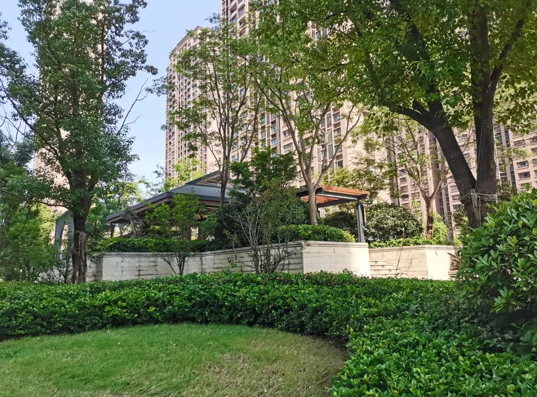 实探阜阳高速“宝藏小区”！细节走心，物业一致好评