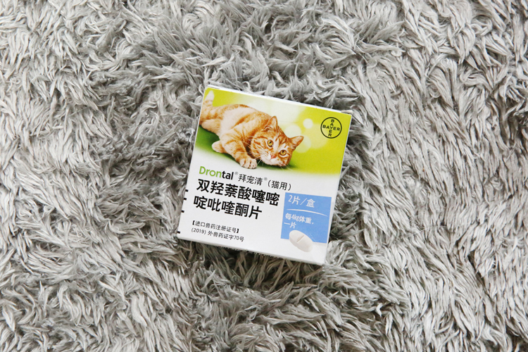 猫咪驱虫滴剂哪个牌子好,猫驱虫拜宠清和拜耳有啥区别