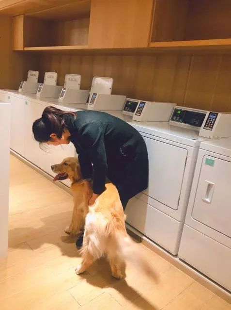 24小时澳美｜在EFC感受都市繁华的酣畅呼吸，工作生活两不误