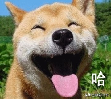 摆地摊商品进货渠道有哪些,摆地摊进货10个最便宜渠道