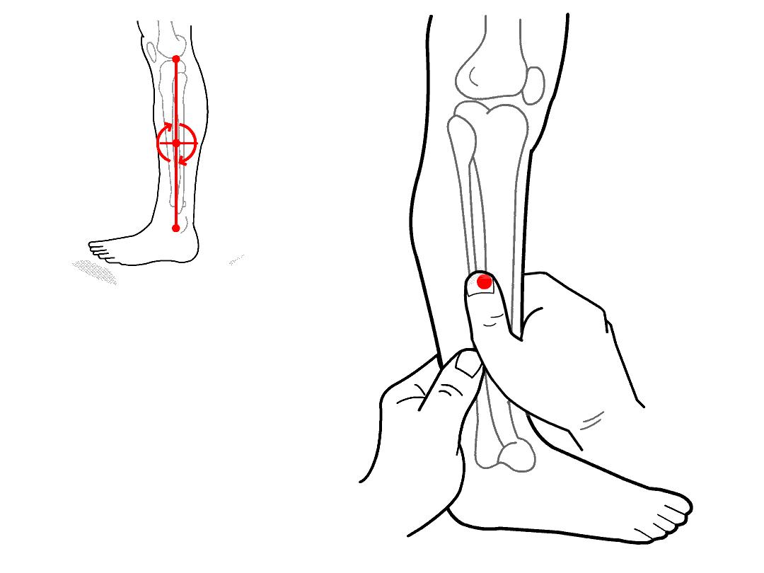 孩子睡前喝牛奶对脾胃有影响吗,儿童晚上喝牛奶会积食吗