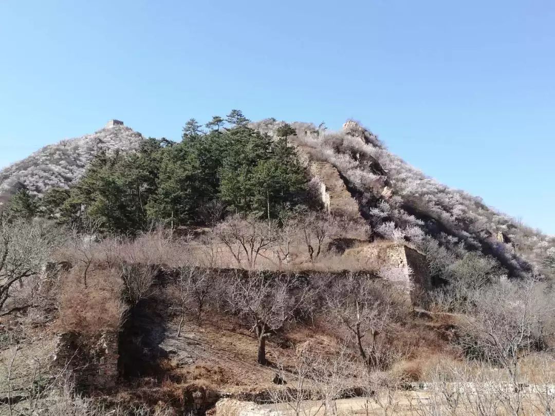 到了京郊这些花开四溢的“仙境”，您简直可以把日子过成诗！