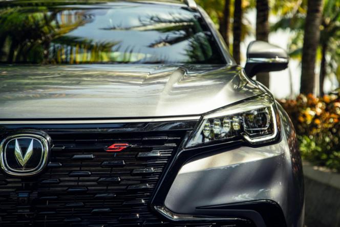 调性低奢,调性小众设计