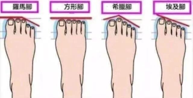 什么样的脚型穿鞋好看,脚型种类