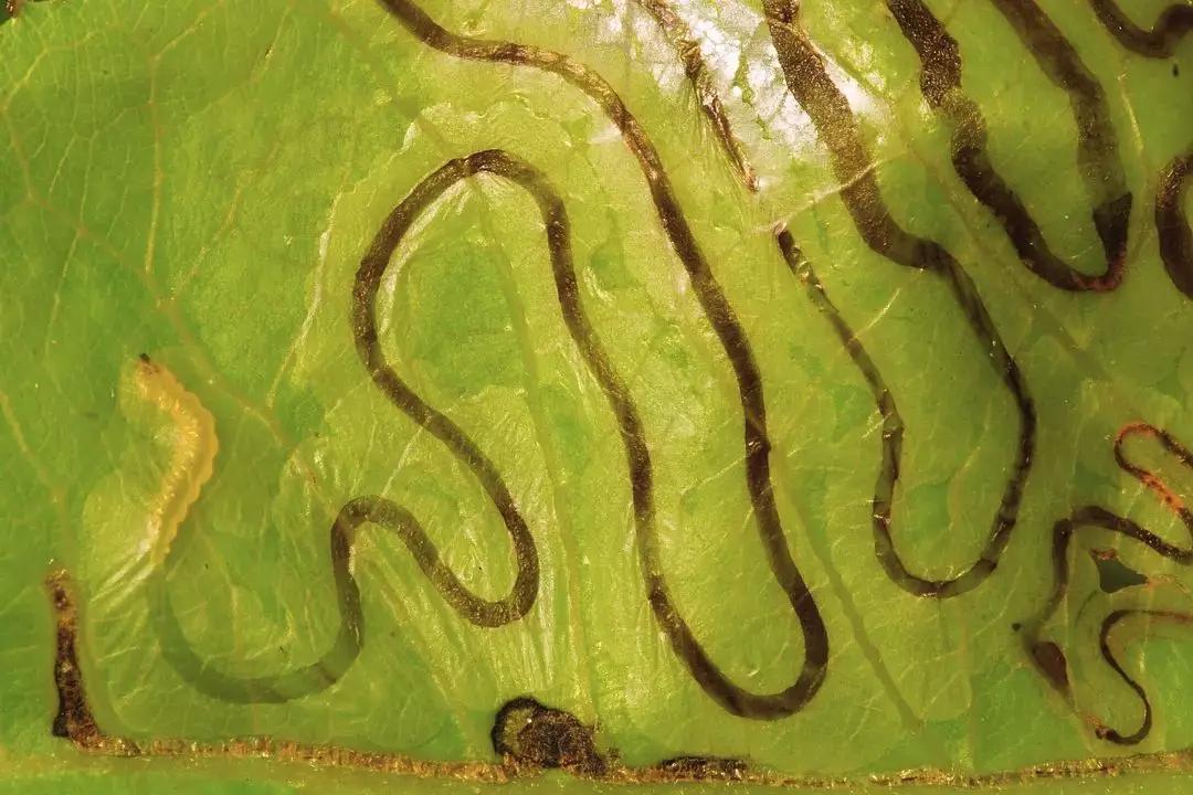 必看纪录片推荐建议收藏,推荐10部必看纪录片