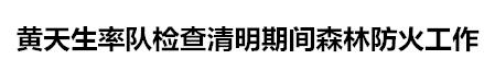 文明祭祀防山火共护绿水青山,清明节文明祭祀预防火灾工作简报