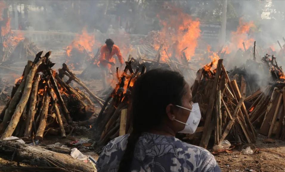 印度毒王最新信息,印度毒王视频