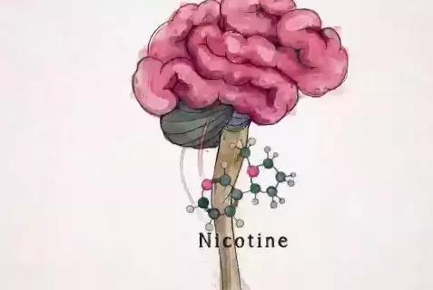 戒不戒烟对孩子有影响吗,不要因为自己而害了孩子