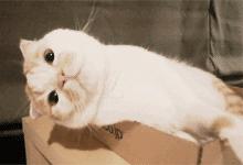 千万别大意要定时清理手机垃圾,手机快速清理垃圾三年都不会卡