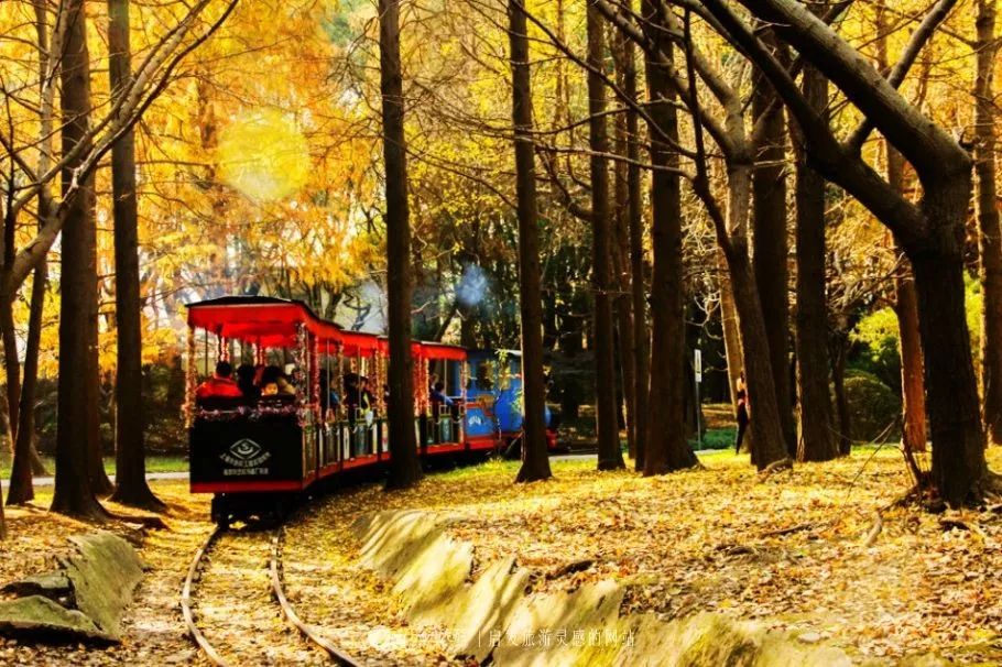 上海人游广州,上海人游浙江