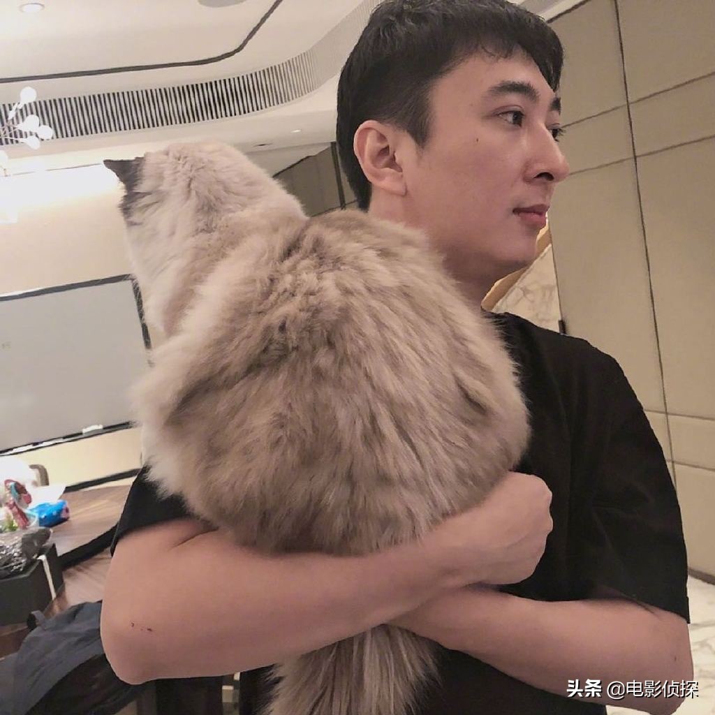 王思聪的前女友都是什么样的人,王思聪的18位前女友都有哪些人