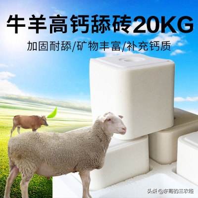 怎样养羊赚钱养羊技术大全,正确养羊方法和注意事项