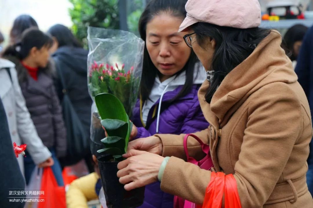 园艺沙龙|前方高能！一大波人相约逛花市，究竟淘了些啥？