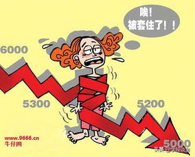 一个老股民血泪史完整版,一位成功老股民的肺腑之言四原则