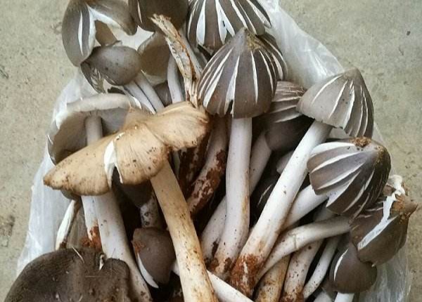 关于昆明市有哪些特产,昆明市云南特产市场