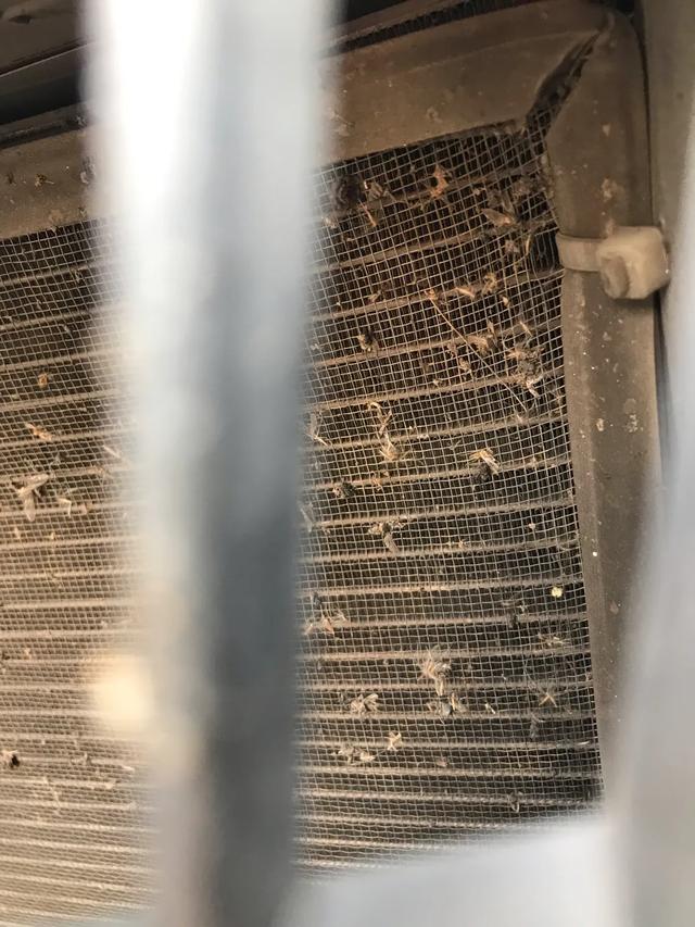 别克gl8es什么意思,别克gl8es车身颜色