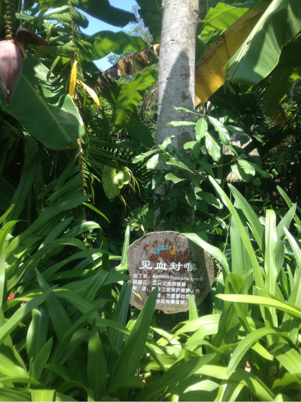 三亚自由行旅游攻略超详细哦,三亚旅游自由行全攻略