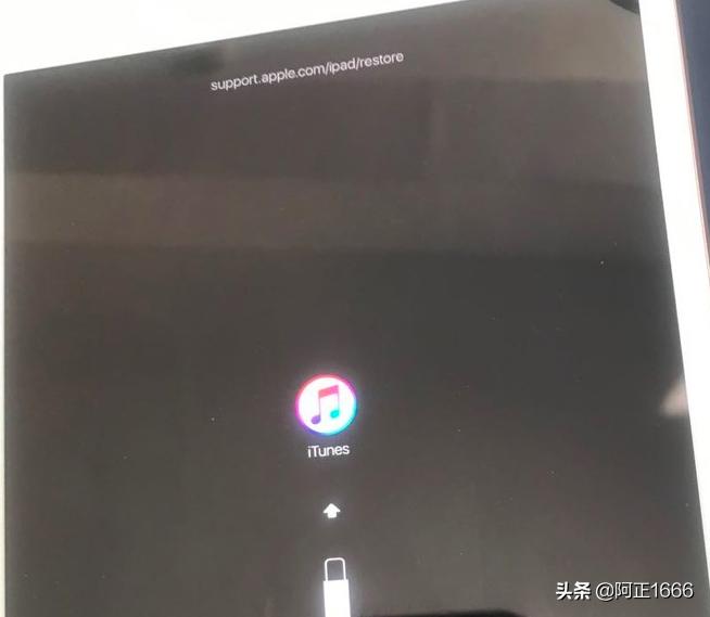 ipadmini5白苹果解决方法,ipadmini5白苹果怎么办