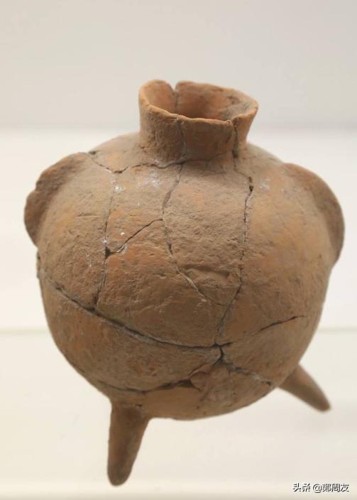 裴李岗遗址挖出来的东西,河南发现裴李岗时期遗址