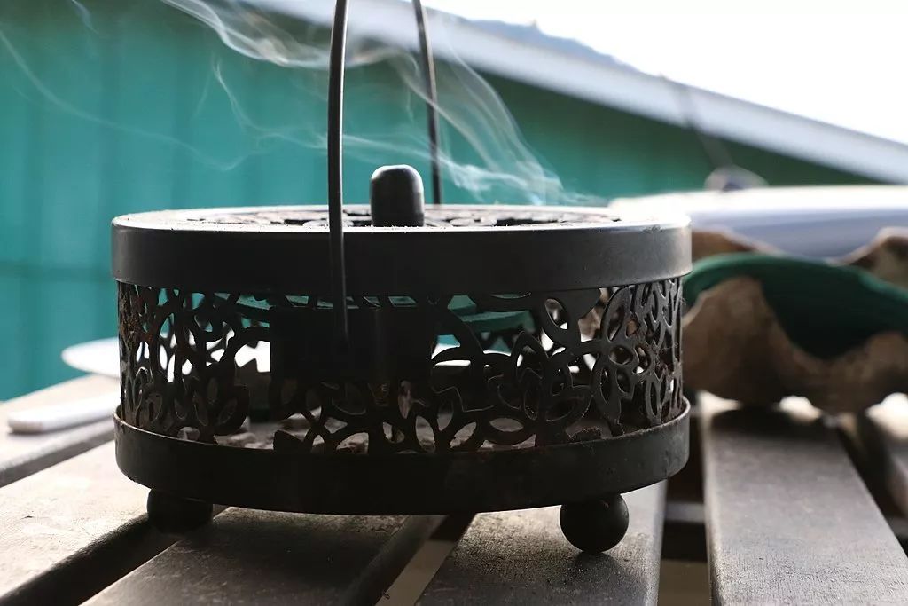 世界上杀人最多的动物是蚊子吗,世界上杀人最多的动物是什么动物