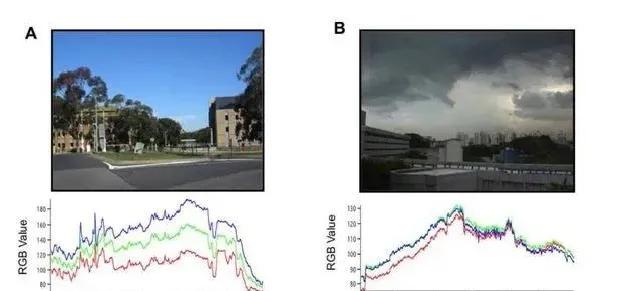 户外活动越长对于防控近视越好吗,户外活动哪些是预防近视的关键点