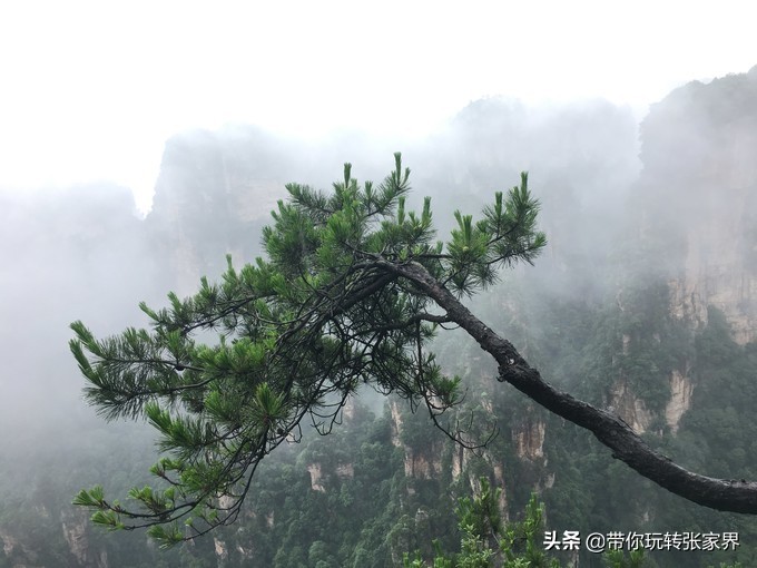 到张家界天门山自助游价格多少钱,武汉到张家界天门山三日游