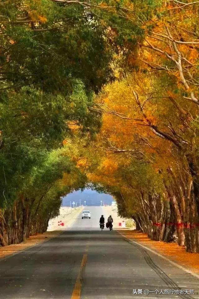 如果你不了解现实你就去看历史,如果你不了解历史就无法展望未来