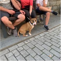 我用我自己挣的钱去旅游,拼搏四年去欧洲