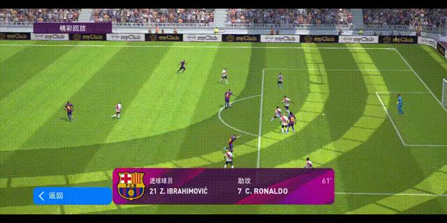 伊布拉希莫维奇合集图文,伊布拉希莫维奇评价