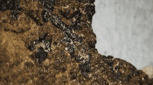 百万美金买的千年古籍实际才刚成年？现代打假技术太给力了