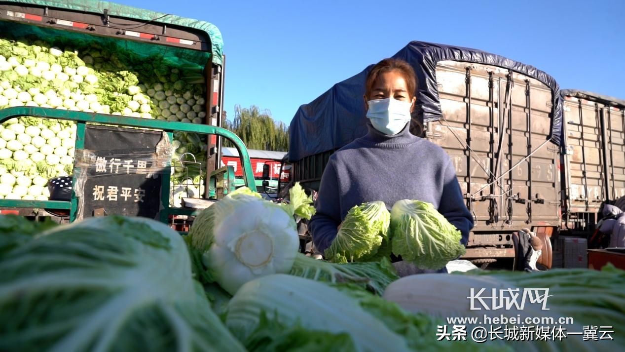石家庄东胜年货节菜篮子,石家庄菜篮子补贴
