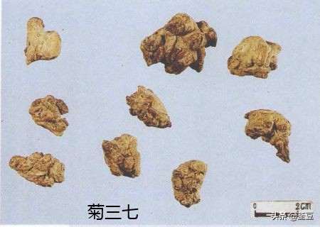 中药材伪品太多，俗有南国神草之称的三七，就有十多种假货