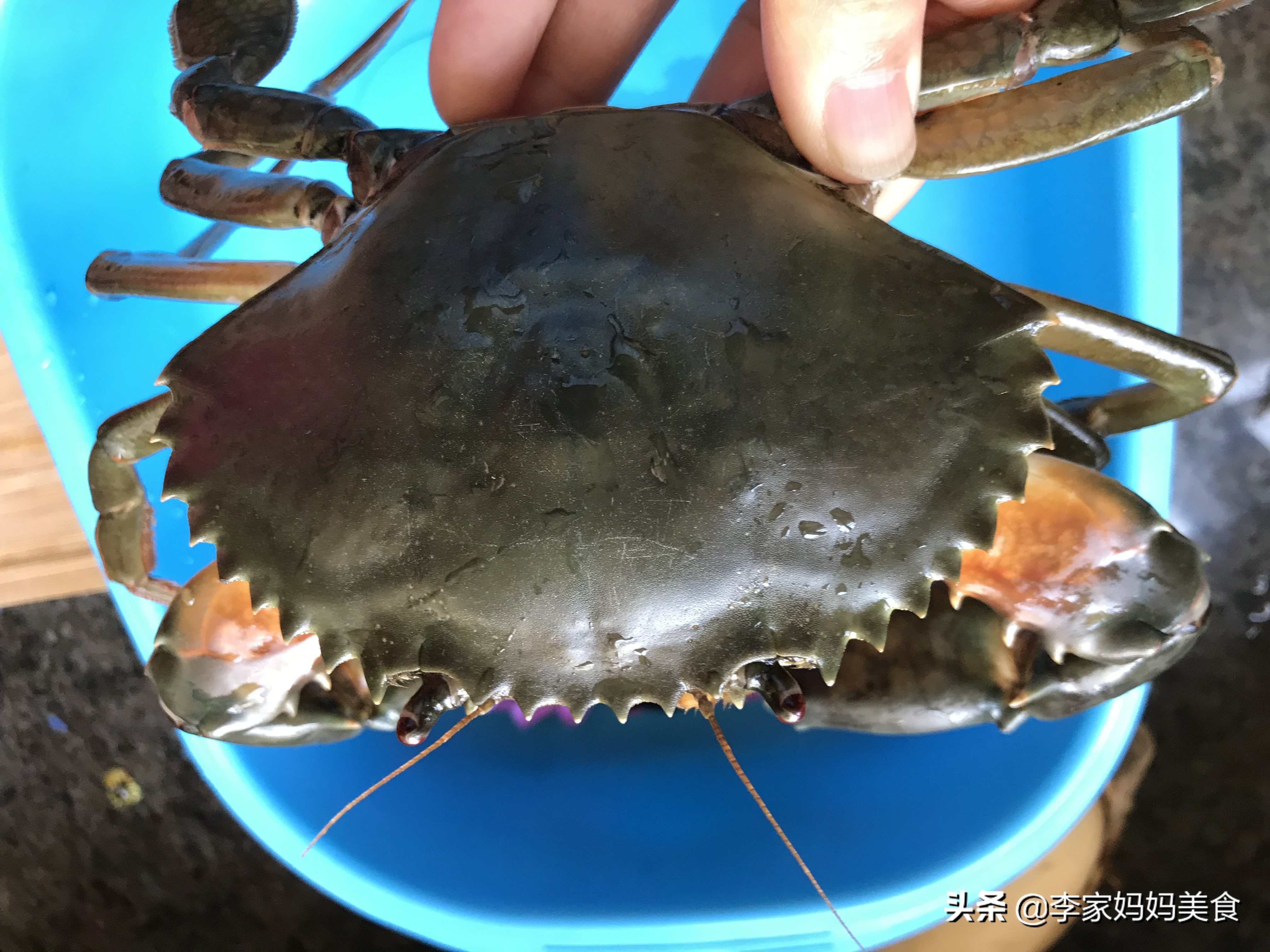 正宗舟山老渔民螃蟹做法,老蟹的做法大全视频