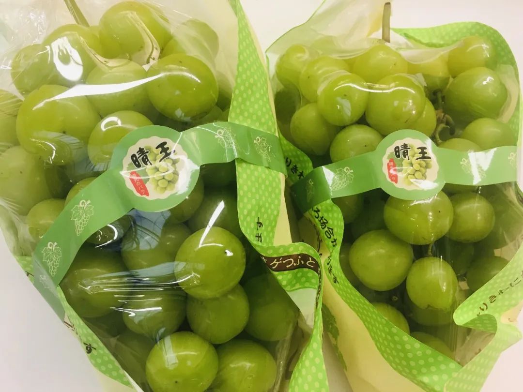 800元一斤的草莓,一斤草莓9.9