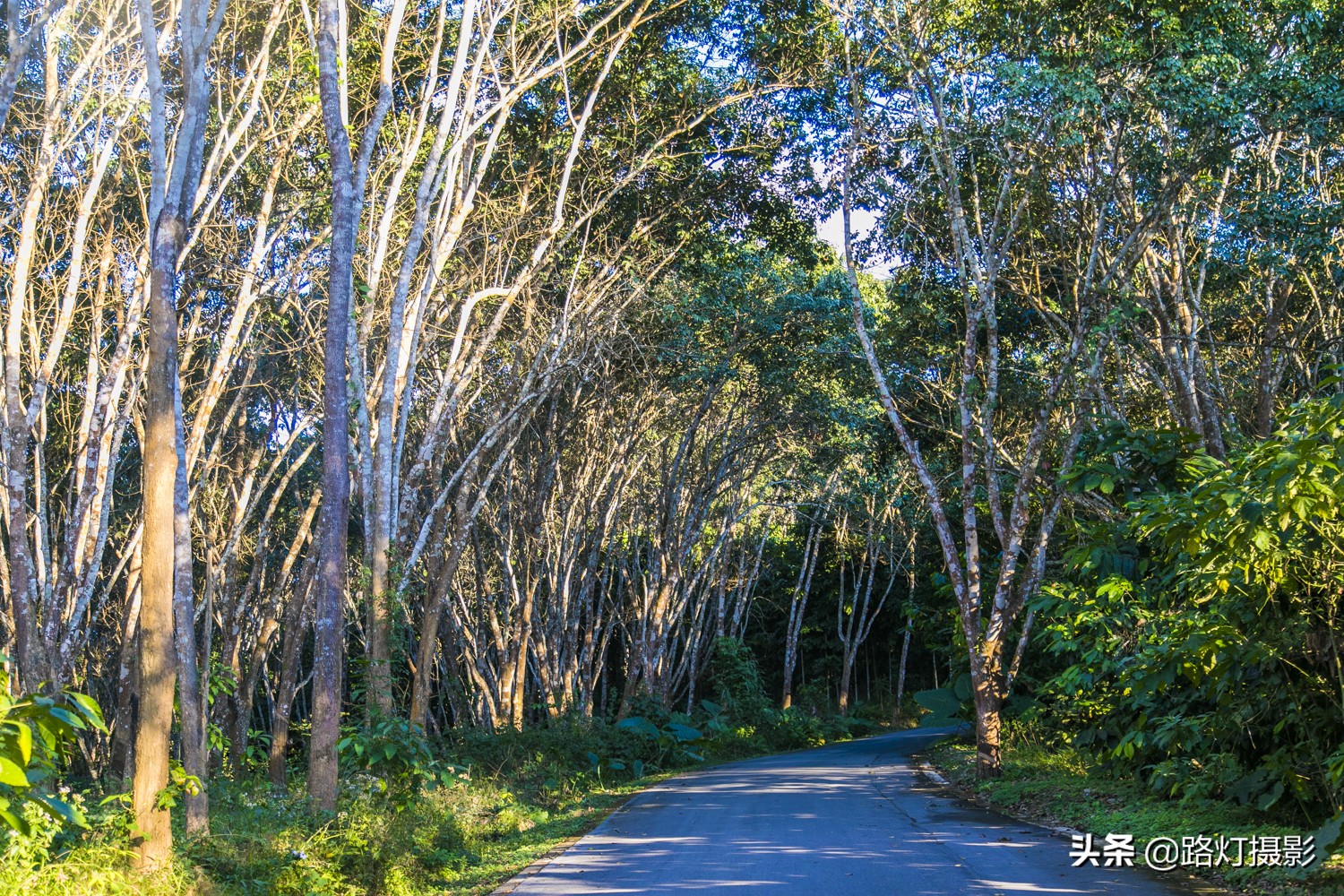 云南十大世界级景区,云南有几个5a级旅游景区