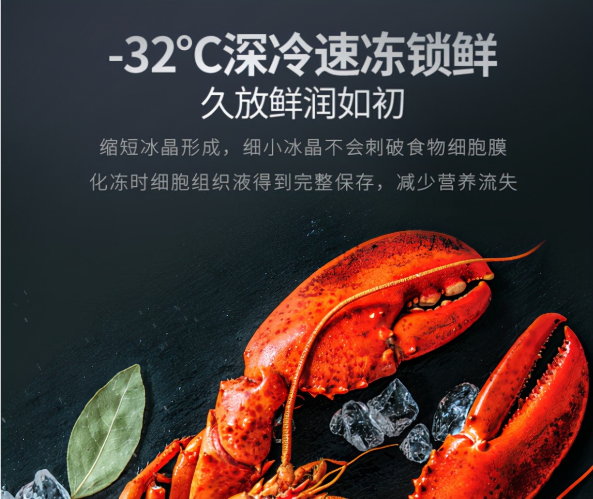 教你如何选择冰箱的款式和容量,冰箱如何进行功能选择