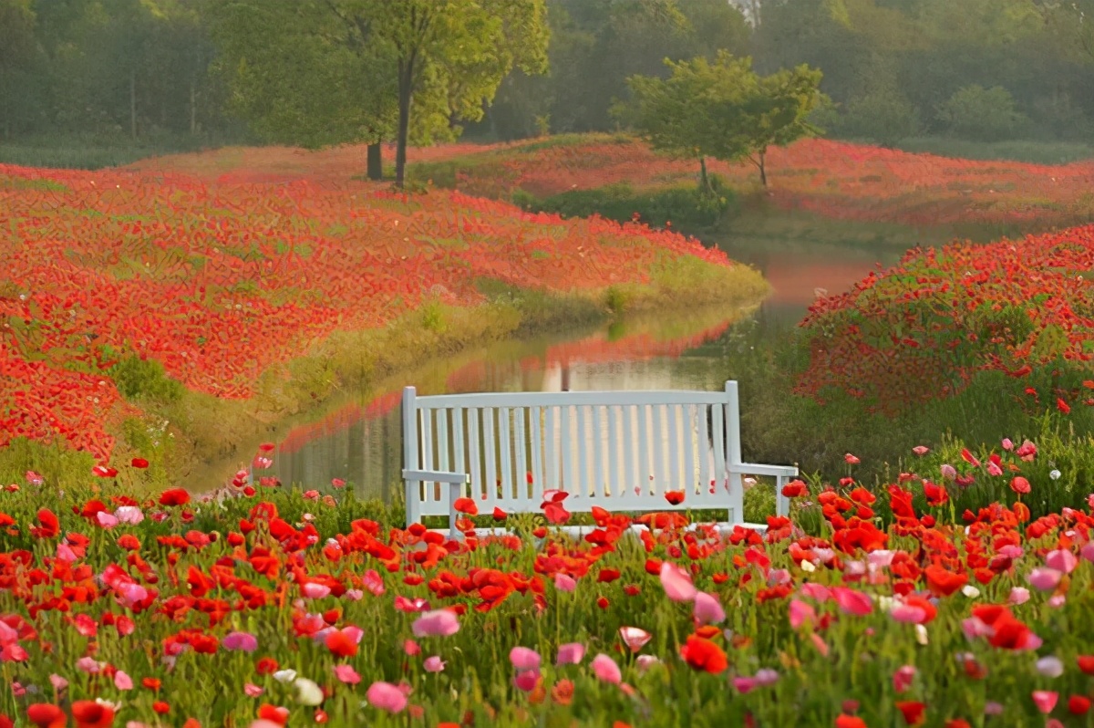 长三角城市群最佳旅游线路,长三角示范区旅游详细攻略
